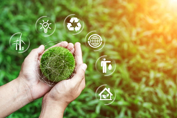 Corporate ESG - hand holding green plant indicating green initiatives and sustainability