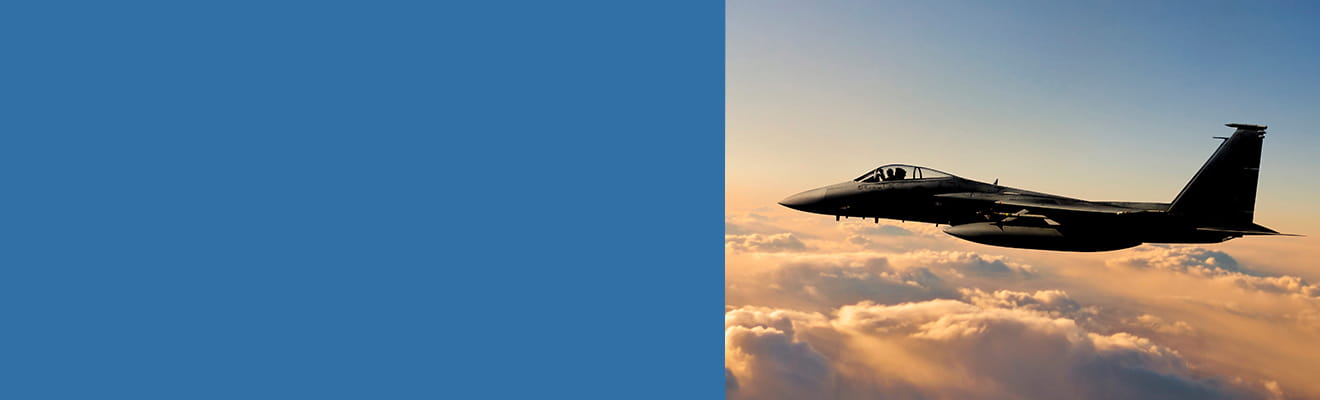 hero home image description